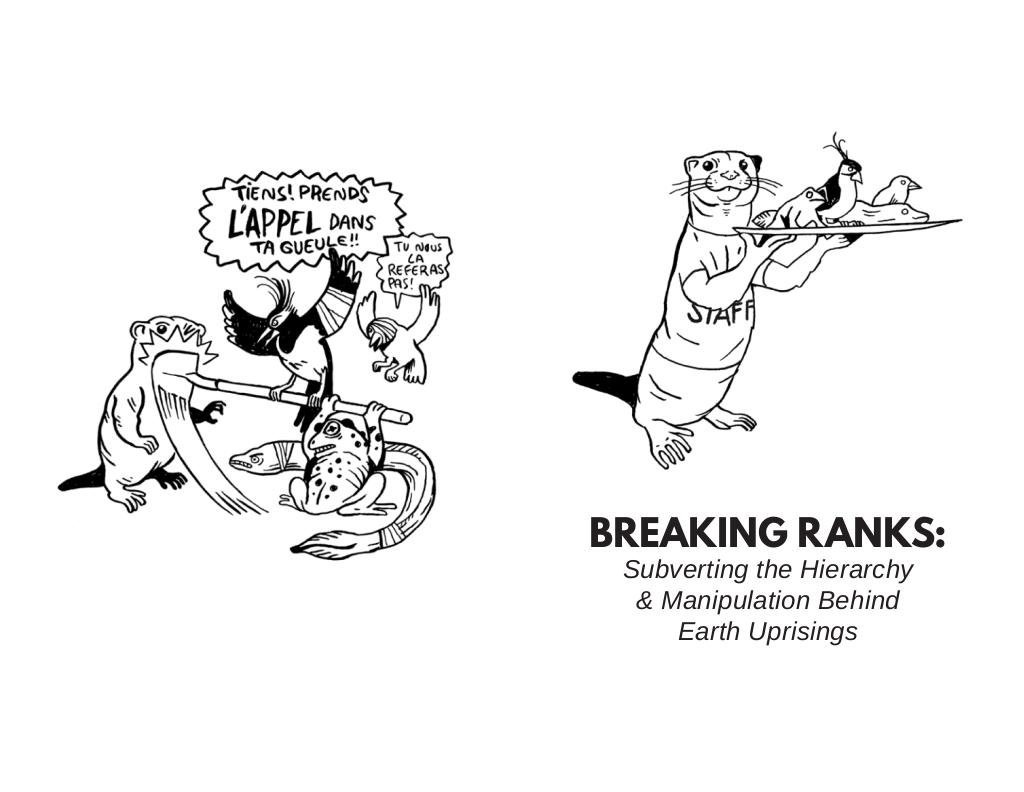 Cover of Breaking Ranks: Subverting the Hierarchy and Manipulation Behind Earth Uprisings