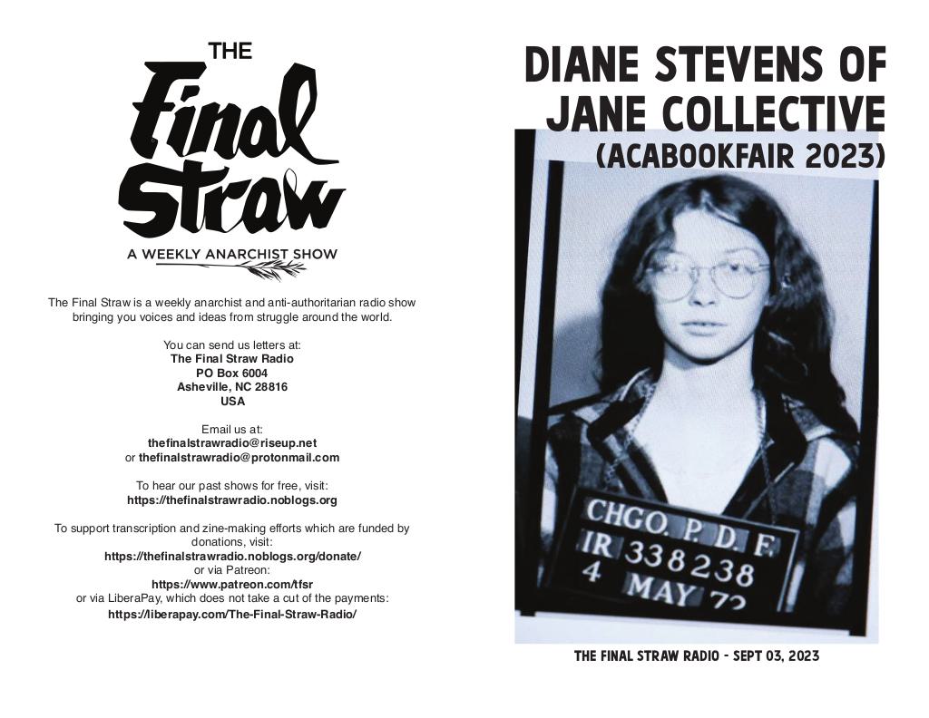 Cover of Diane Stevens of Jane Interview
