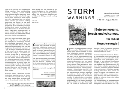 Cover: Storm Warnings: Anarchist Bulletin for the Social War #43-44