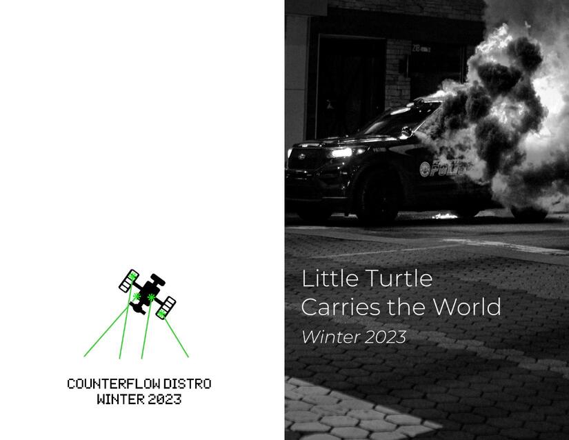 Cover: Little Turtle Carries the World