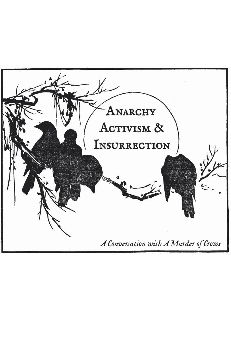 Anarchy, Activism, and Insurrection