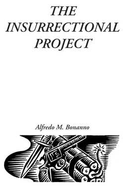 The Insurrectional Project