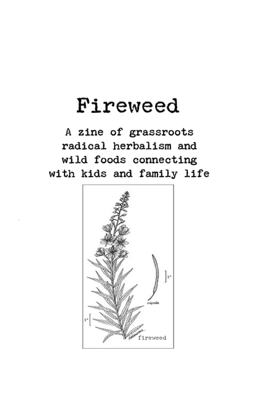 Fireweed #1