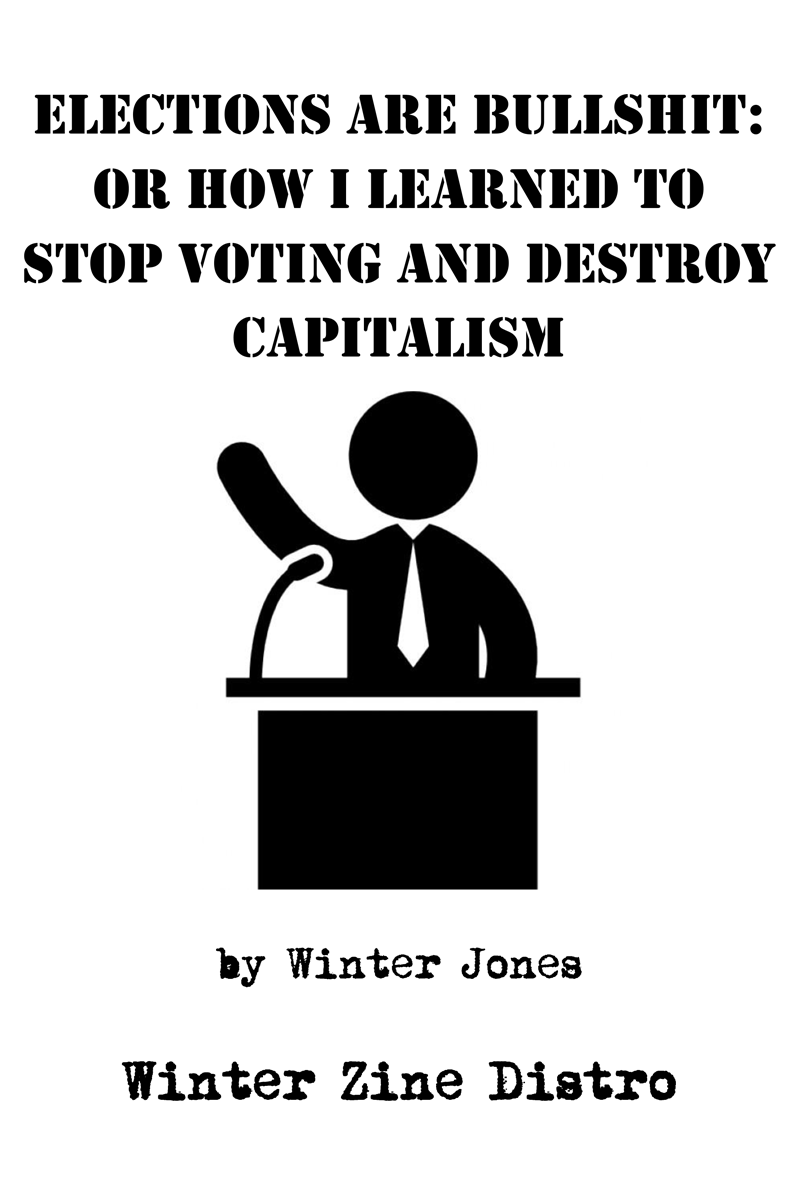 elections are bullshit! zine cover
