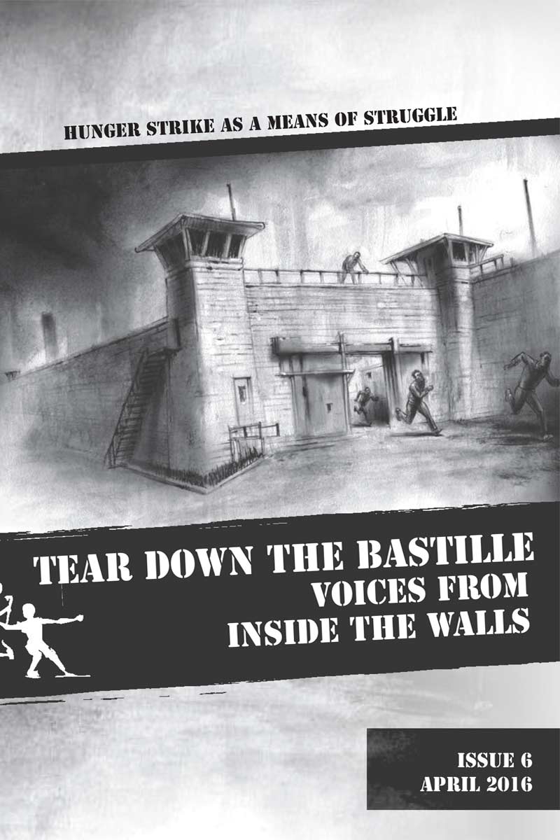 tear down the bastille cover