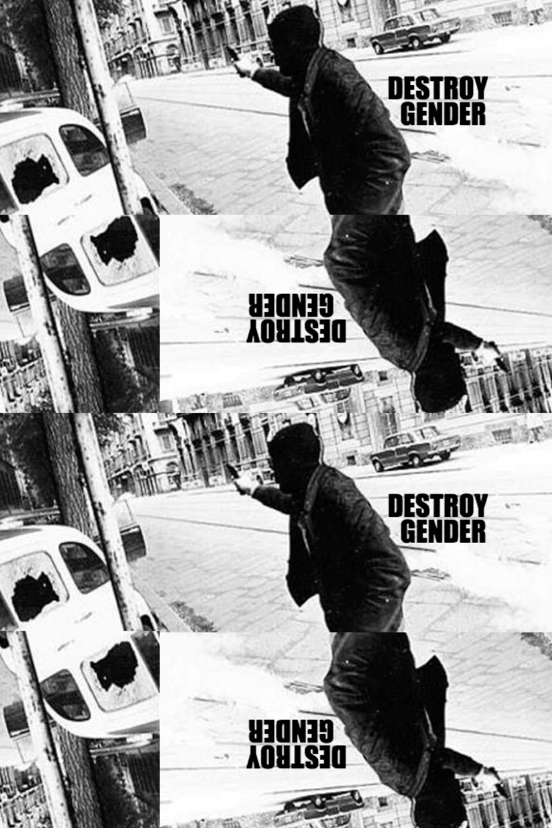 destroy gender cover