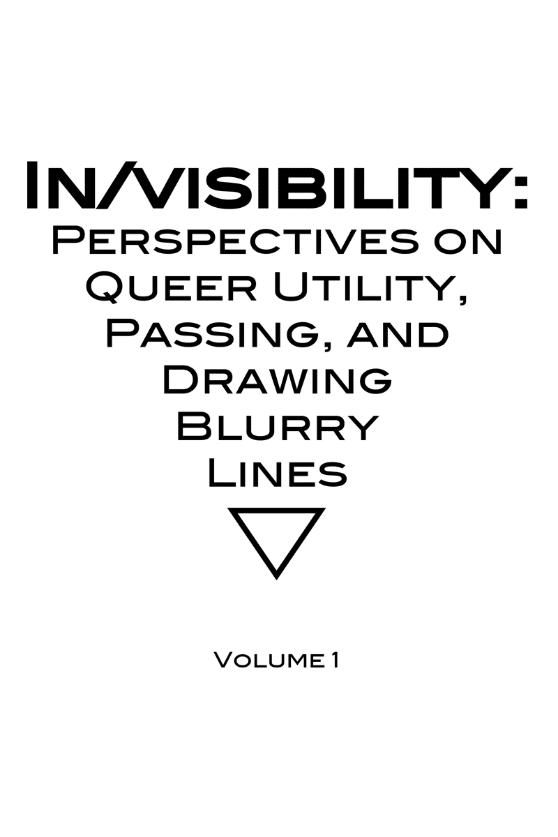 zine cover in/visibility