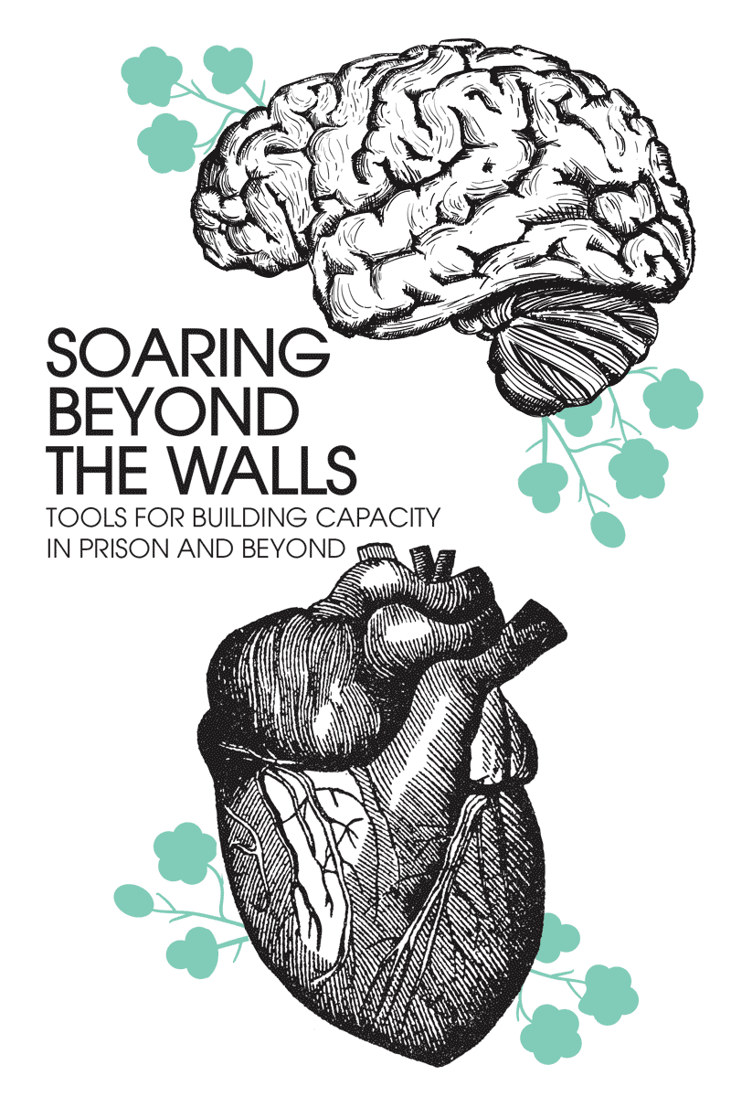 soaring beyond the walls zine