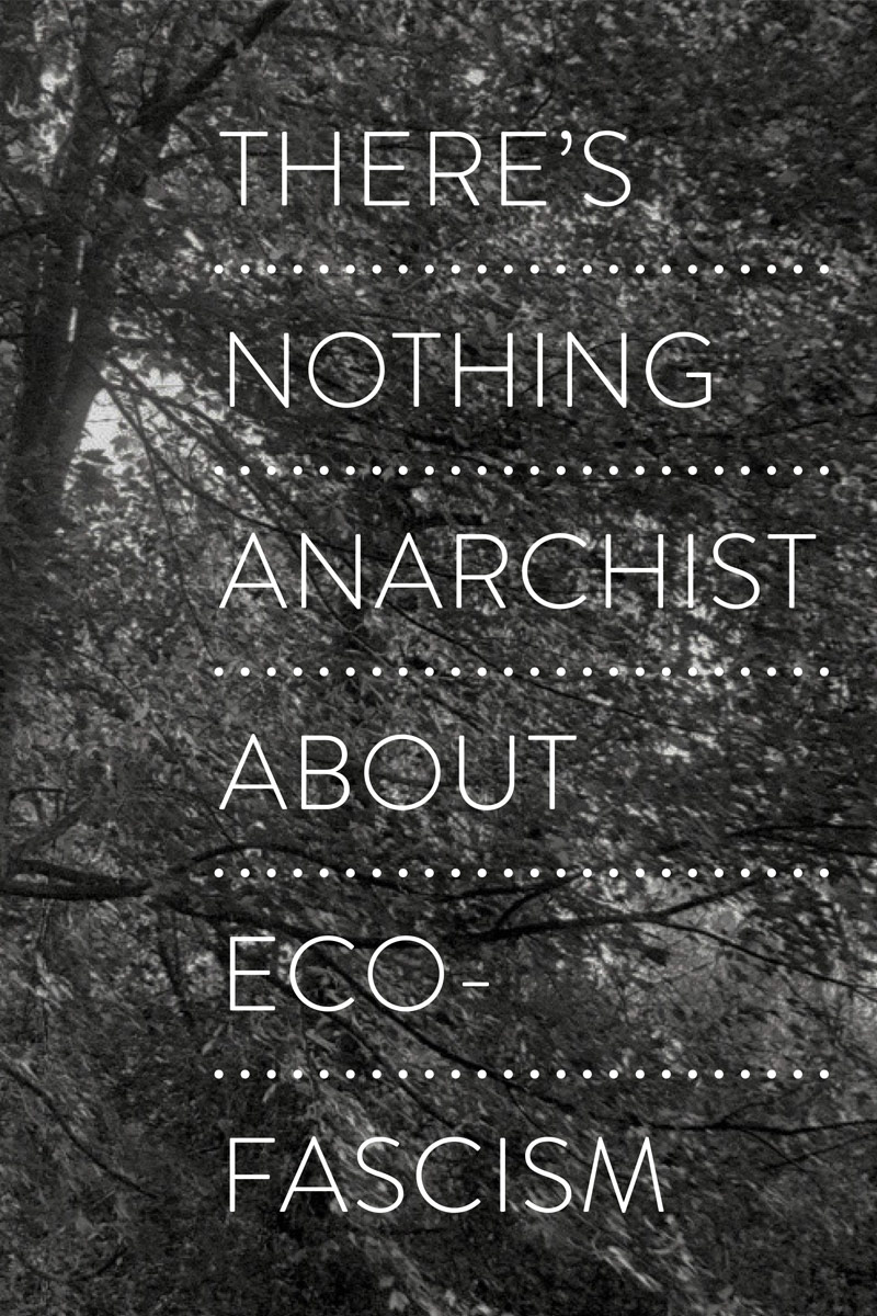 there's nothing anarchist about eco-extremism