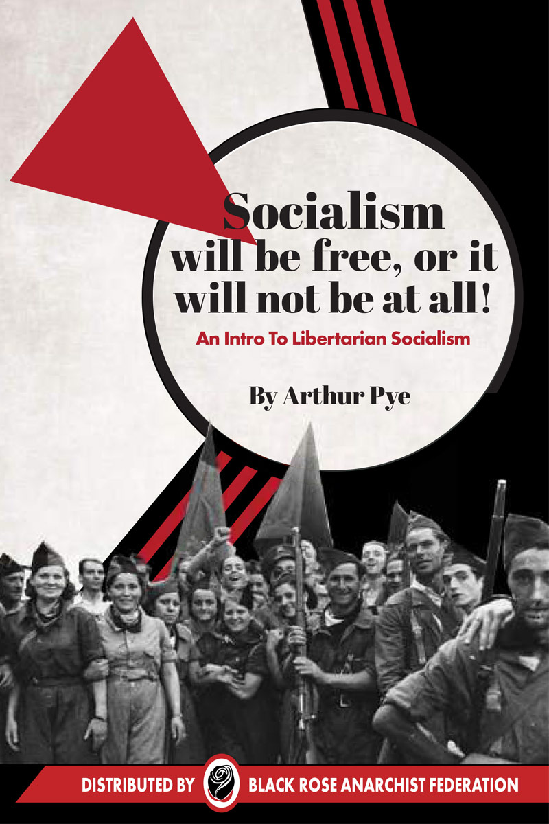 socialism will be free zine cover