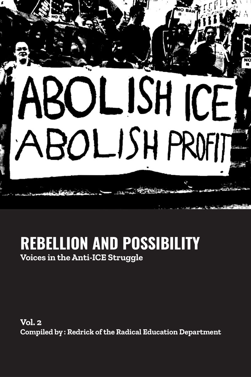 rebellion and possibility vol 2 cover